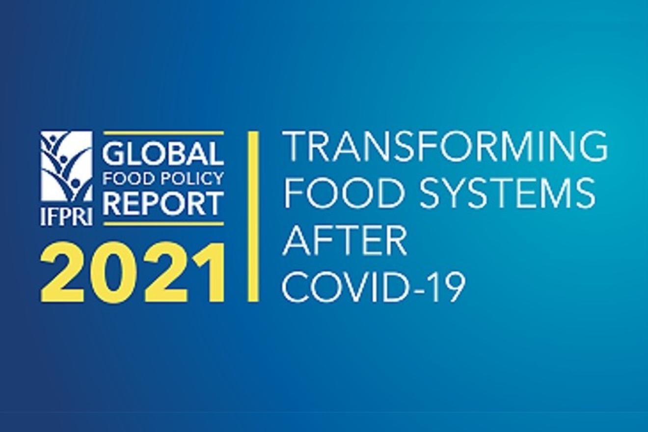 IFPRI Report launch graphic