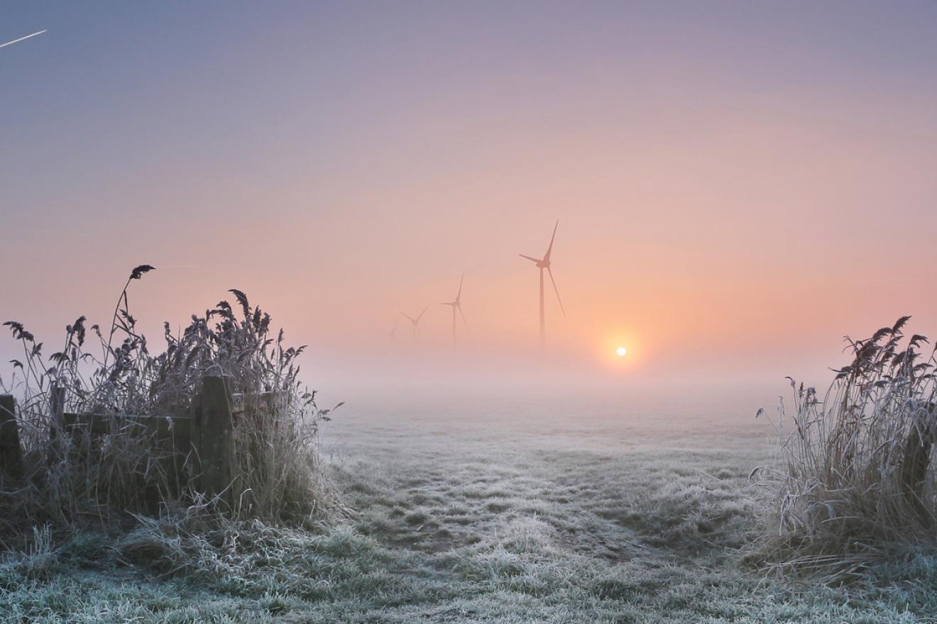 Mañana helada en Pingjum Friesland, Países Bajos