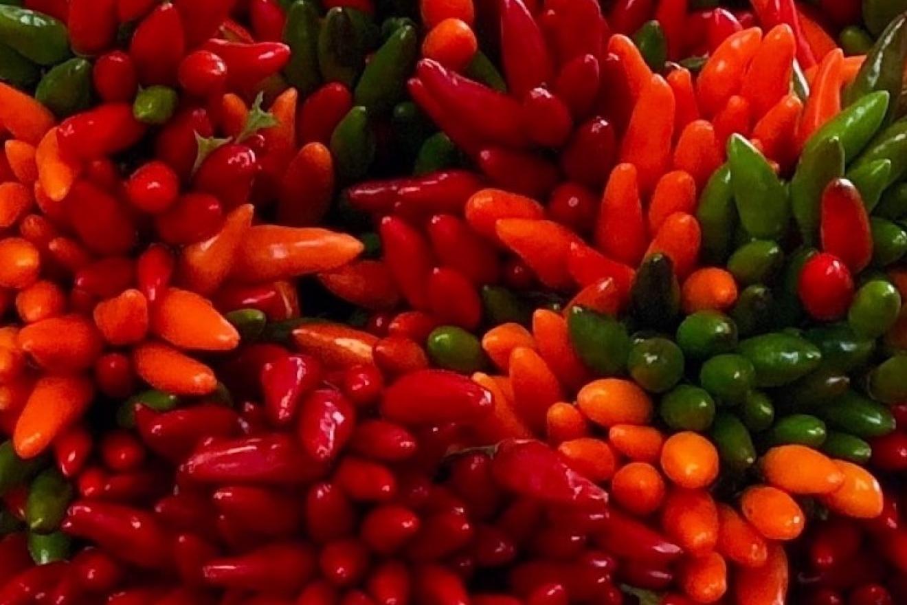 Image of chillies