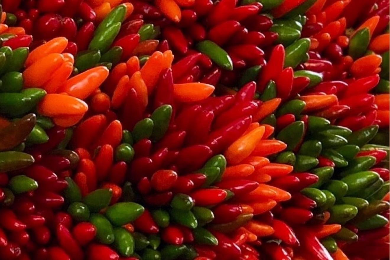 picture of chillies