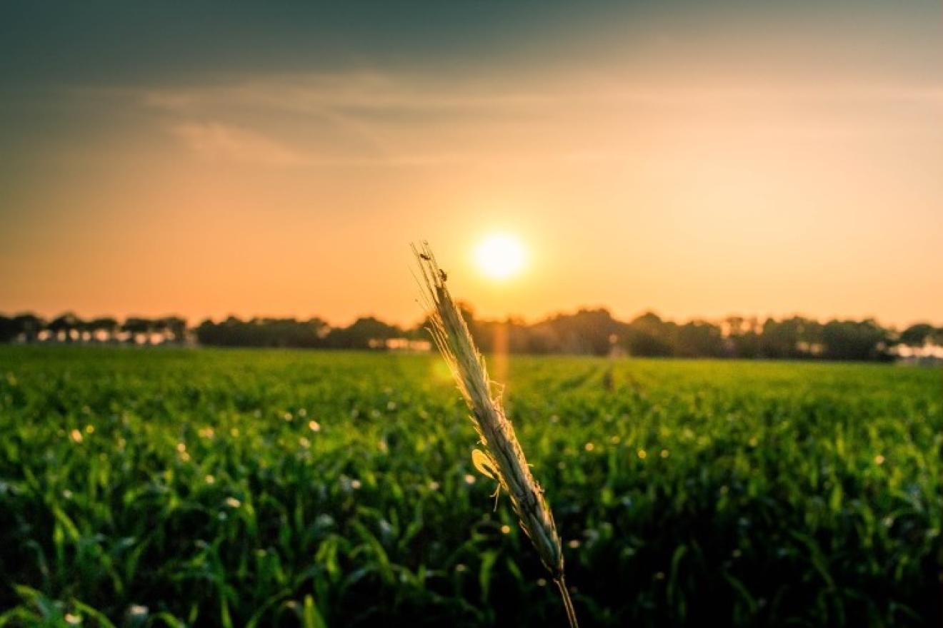 sunset behind a farm