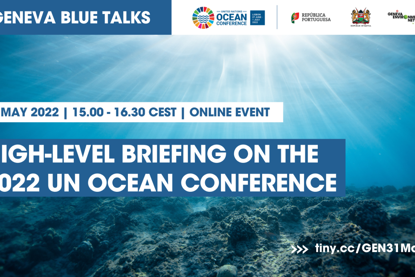 High-Level Briefing on the 2022 UN Ocean Conference