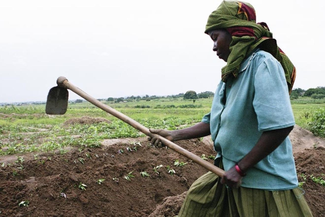 Una agricultora trabajando el campo en el continente africano. 