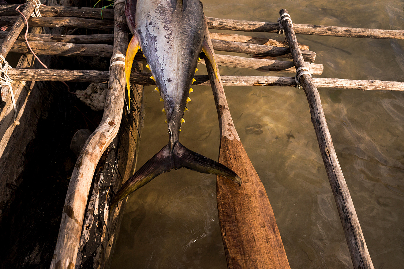 La queue d'un thon jaune sur les balanciers d'une pirogue de pêche traditionnelle