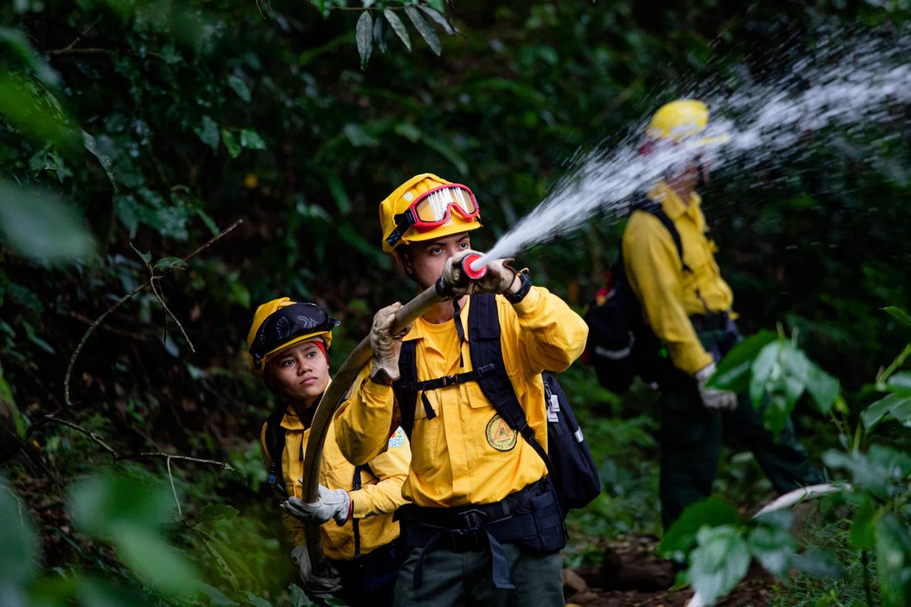 Des pompiers forestiers en train de se servir d'une lance à incendie