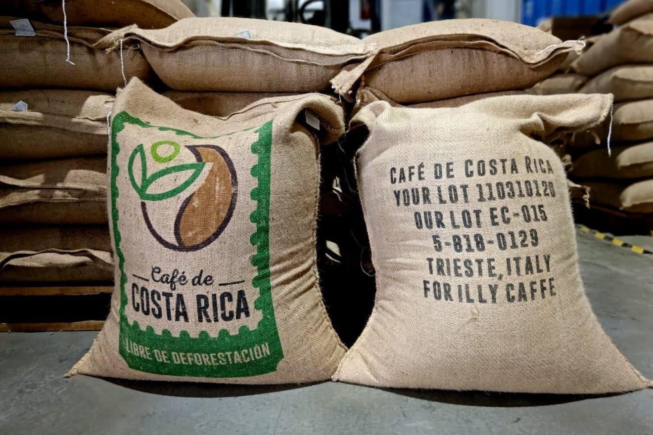 Fotografía de varios sacos de café costarricense libre de deforestación.