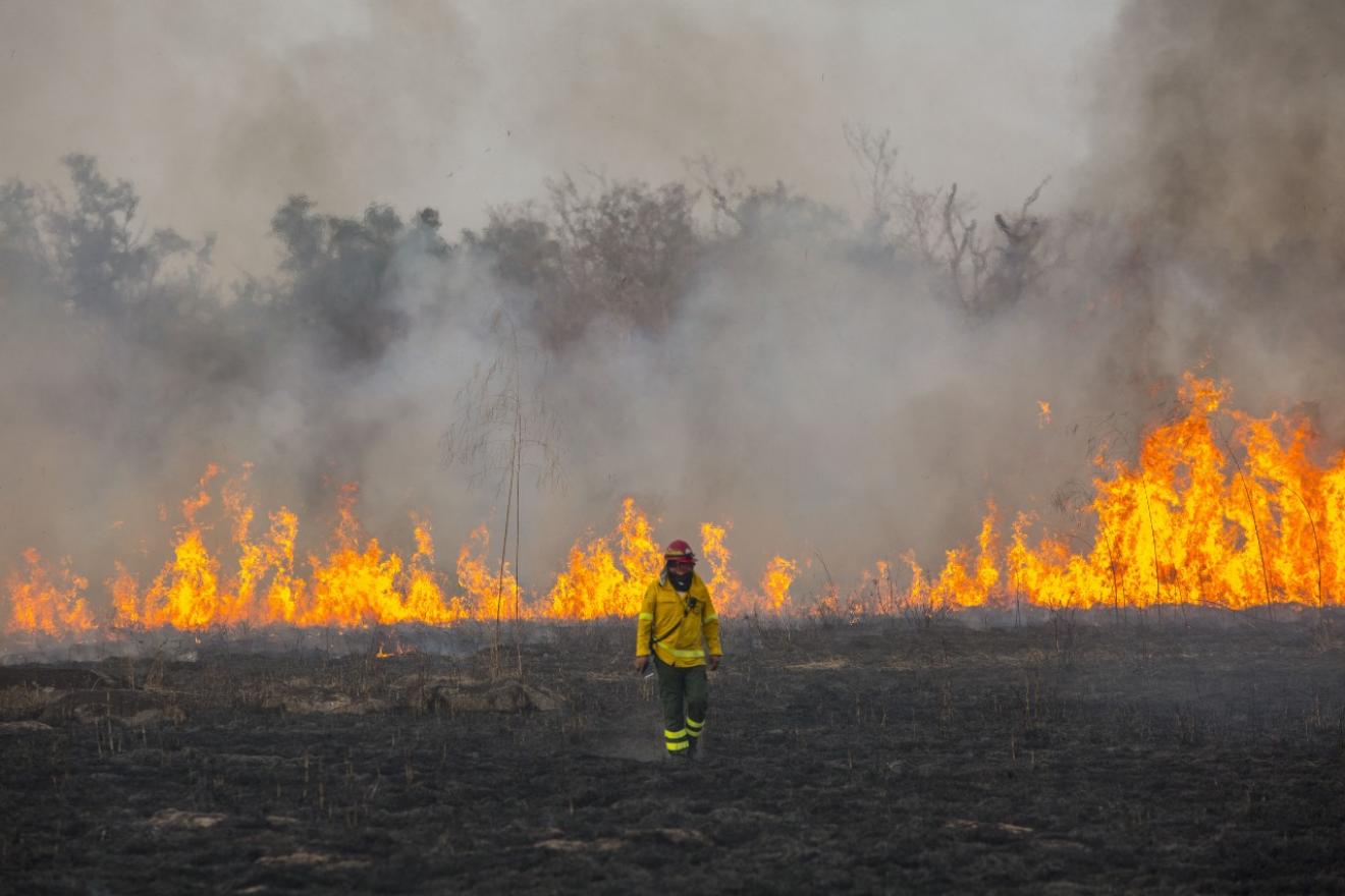 une personne en tenue complète de pompier devant un feu de forêt en arrière-plan