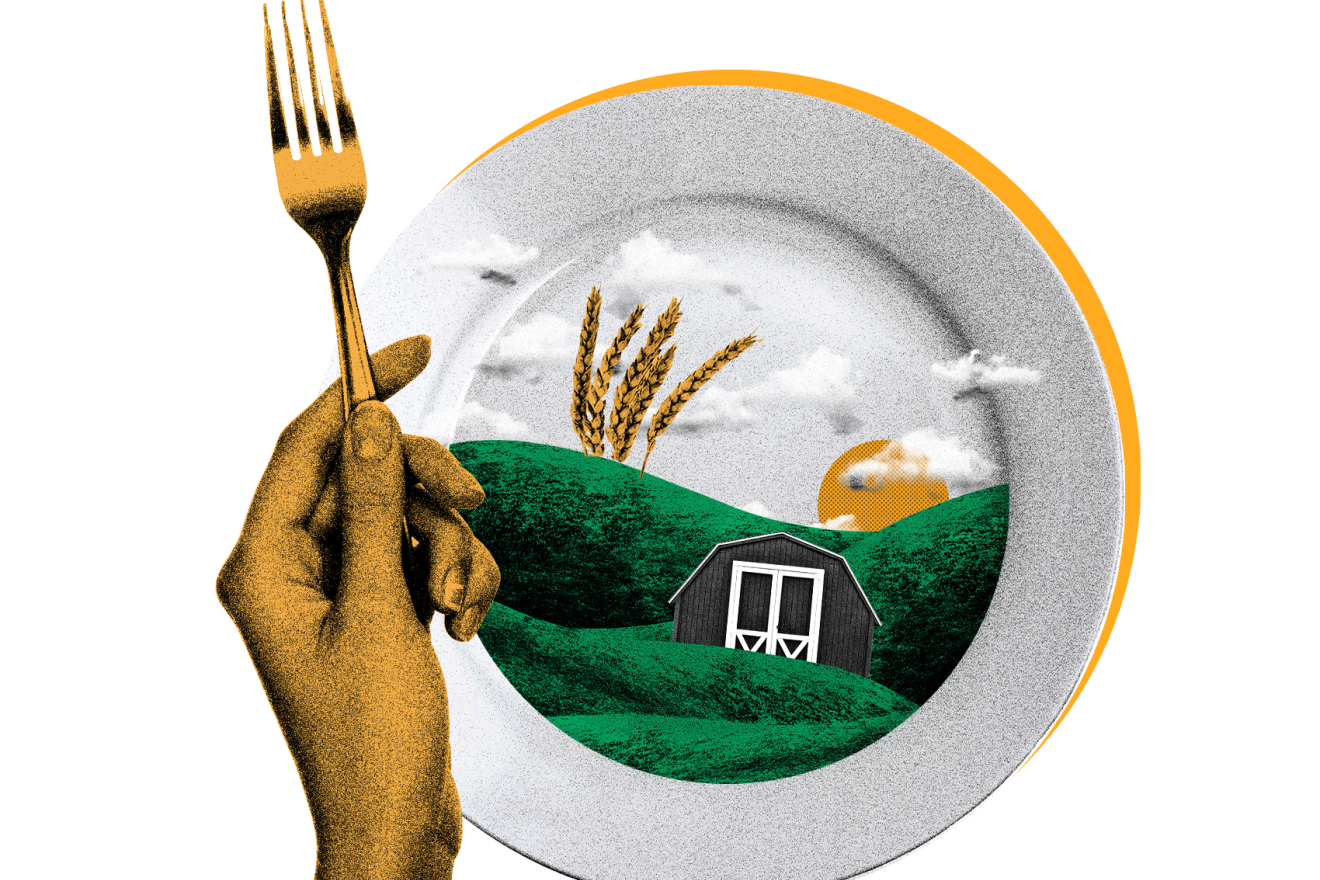 Ilustración de un plato con verduras