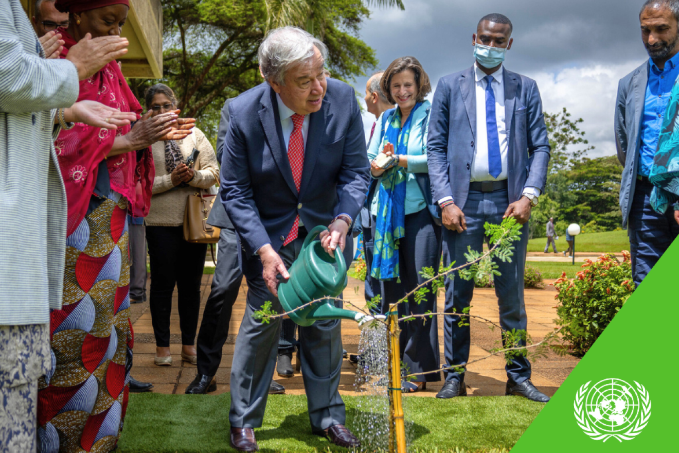 Secretary-General watering tree with people around clapping