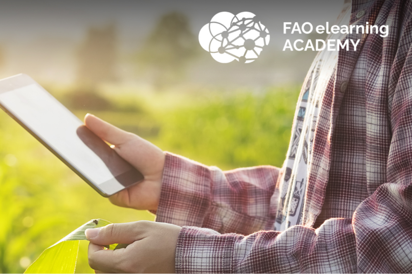 FAO elearning academy. A hand holds a tablet in a sunlit field