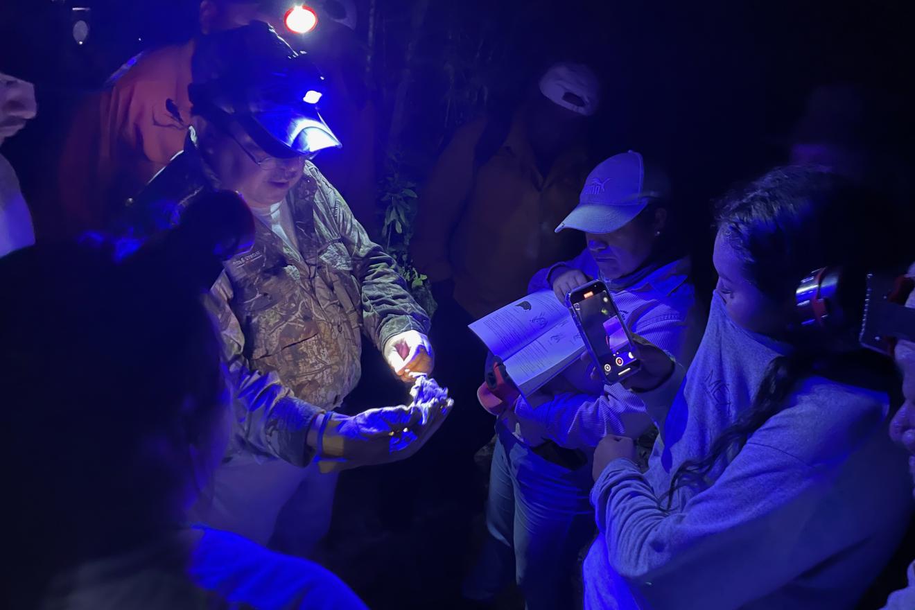 Un grupo de brigadistas trabajando por la noche en su labor de identificación de nuevas especies de  aves, mamíferos y reptiles.