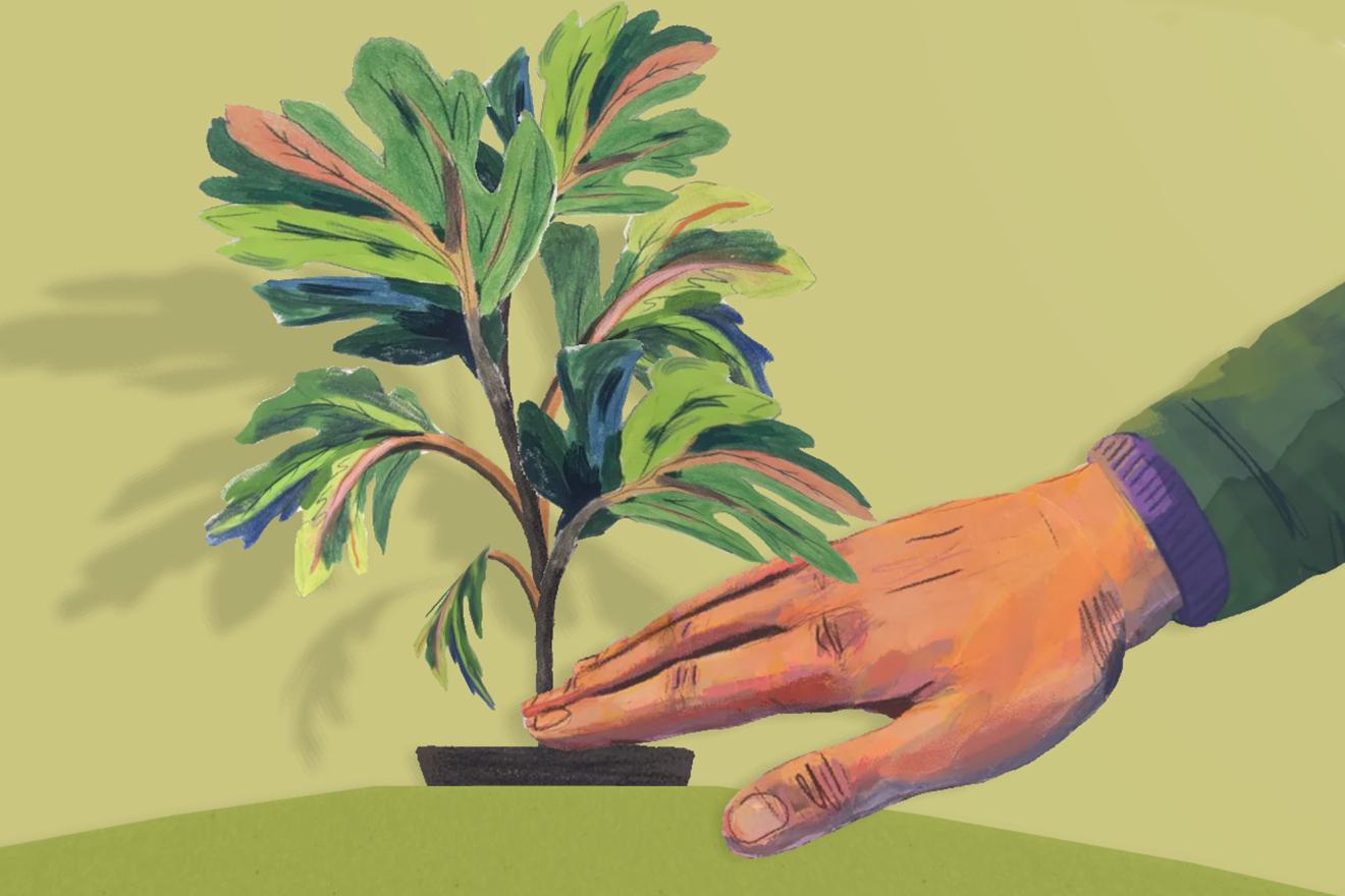 Ilustración de una pequeña maceta con hojas verdes con toques rosas y azules. Una mano toca suavemente la planta.