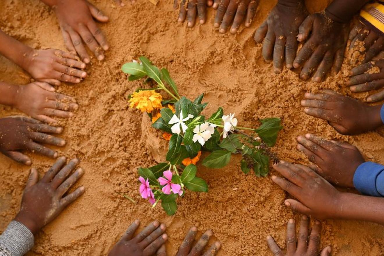 manos de niños en la tierra rodeando una flor