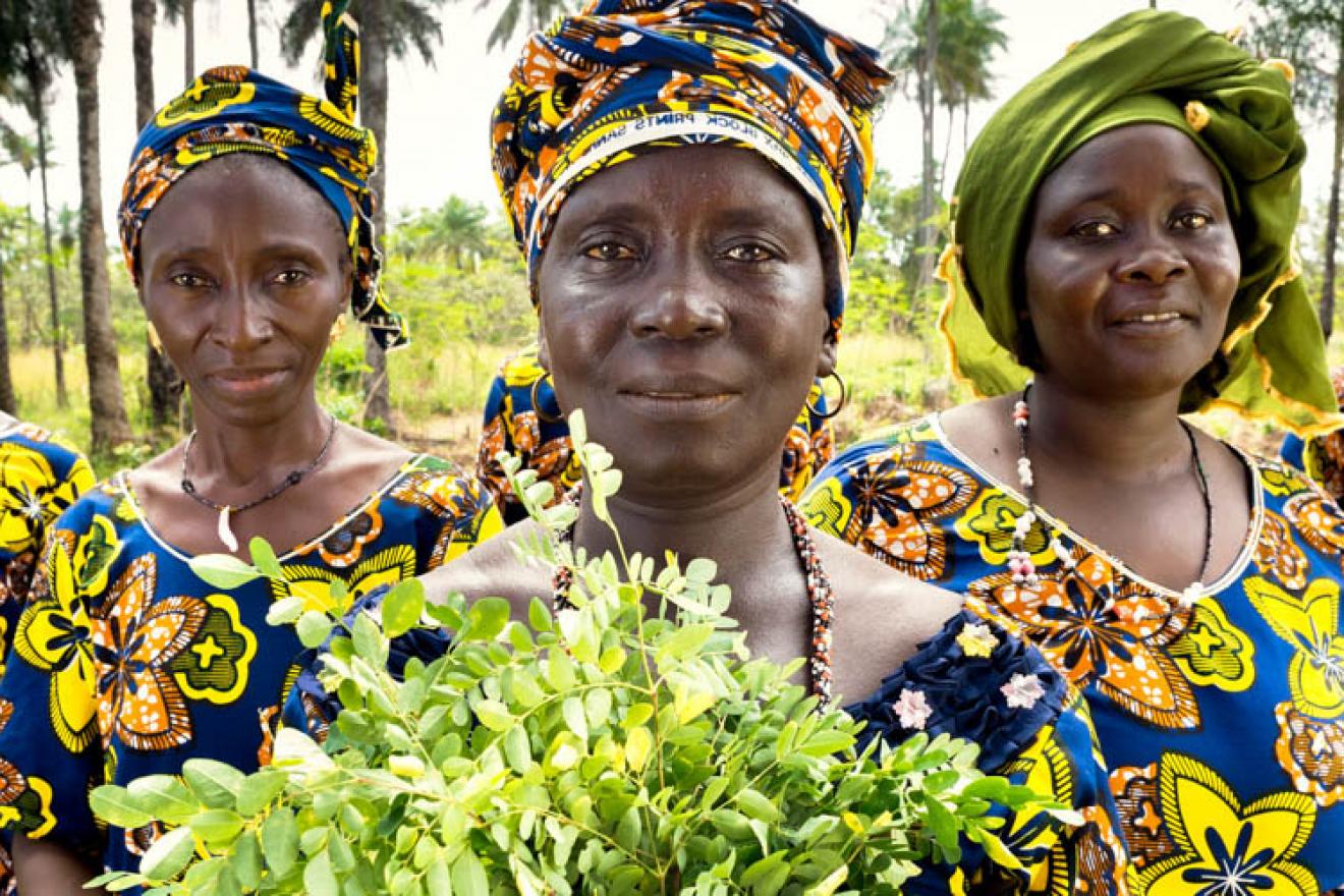 Rural women in Guinea. 