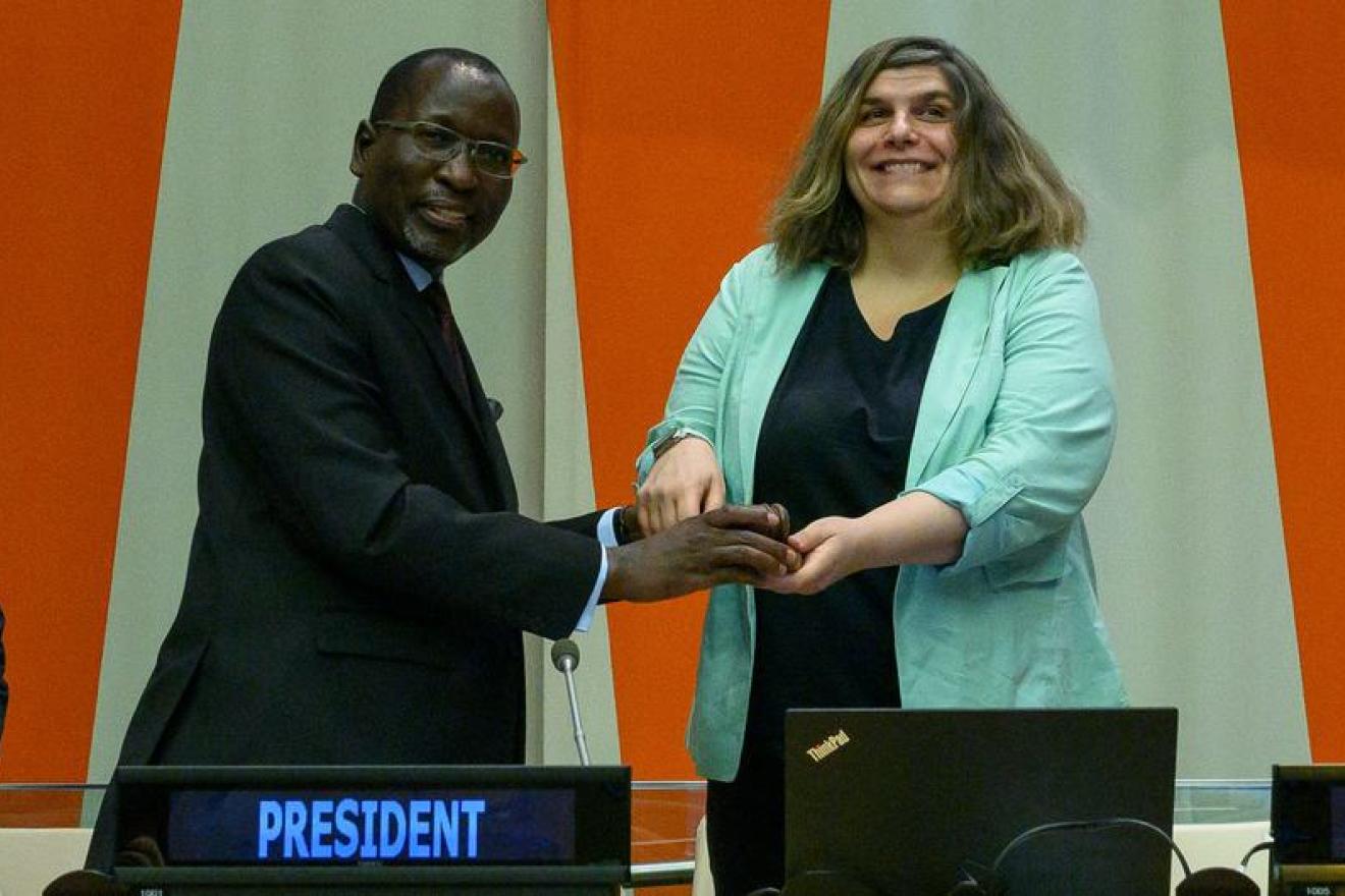 UN Photo/Loey Felipe. Ambassador Collen Vixen Kelapile, outgoing President of the Economic and Social Council (ECOSOC), shakes hands with incoming President Ambassador Lachezara Stoeva of Bulgaria at a handover ceremony.