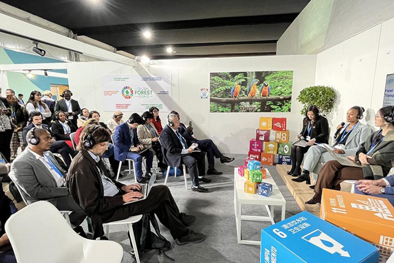 Photo credit: UN DESA