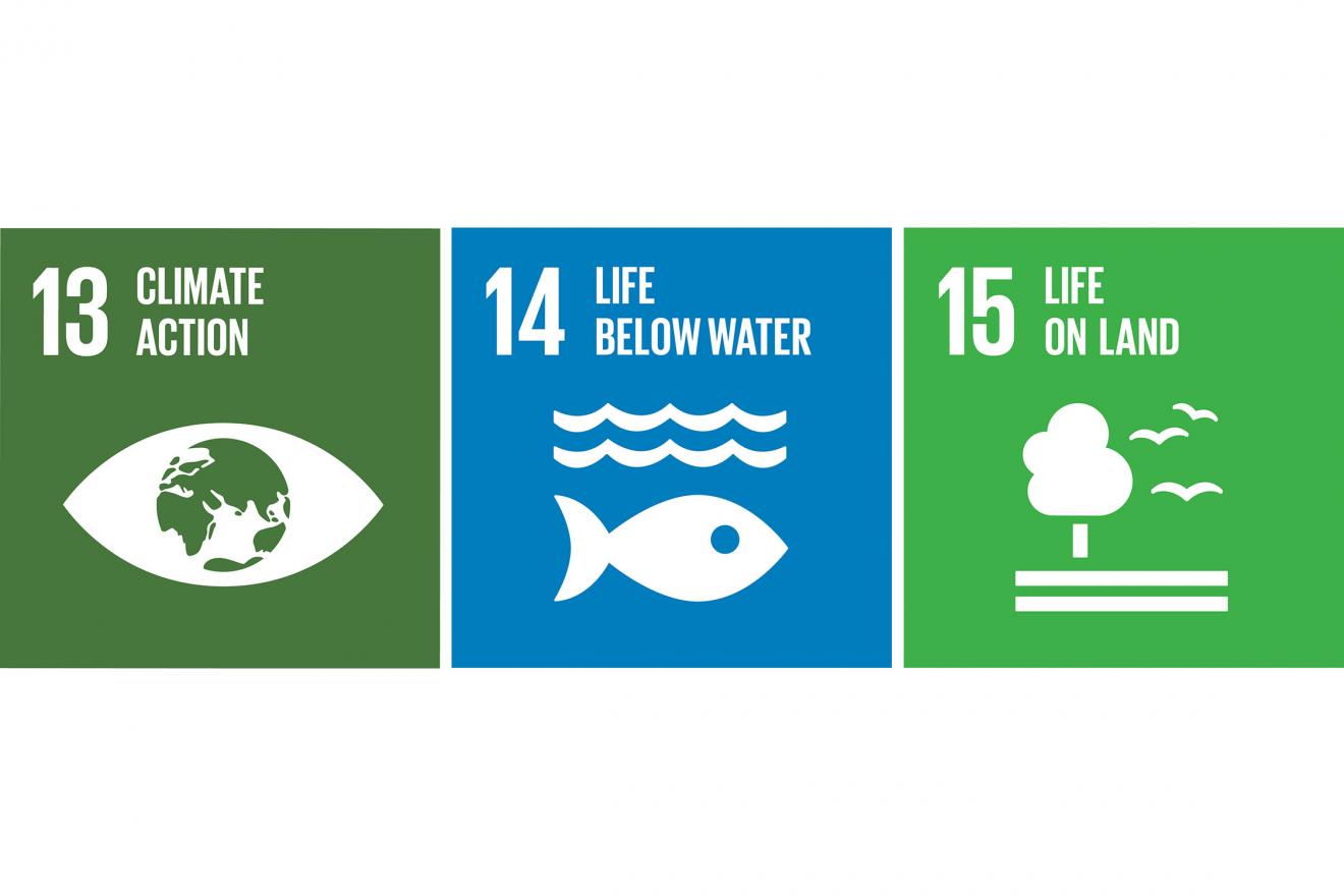 SDG goals 13, 14 and 15