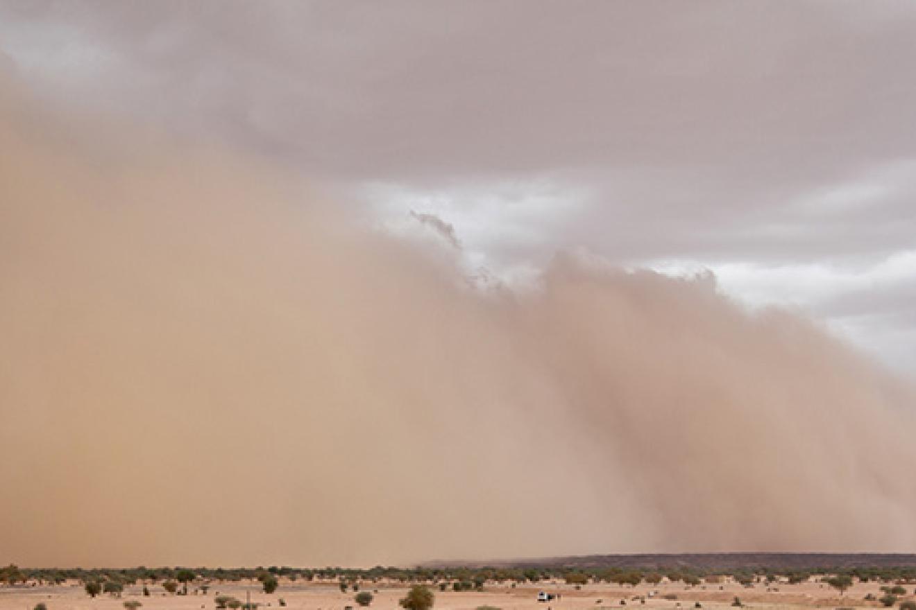 sandstorm with overbearing clouds billows over an orange-colored land that is slightly peppered with trees
