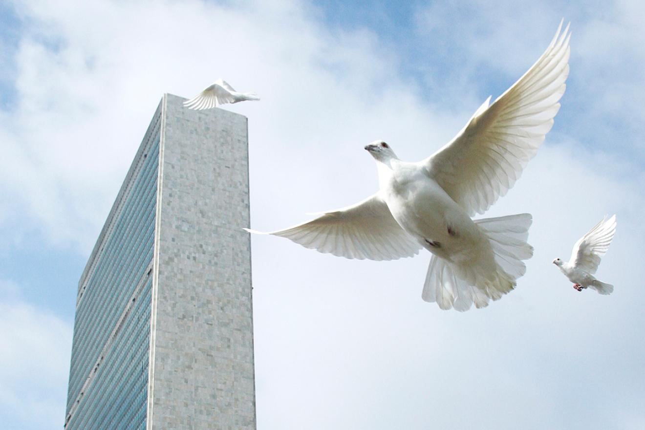 Una paloma blanca vuela alrededor de la sede de las Naciones Unidas.