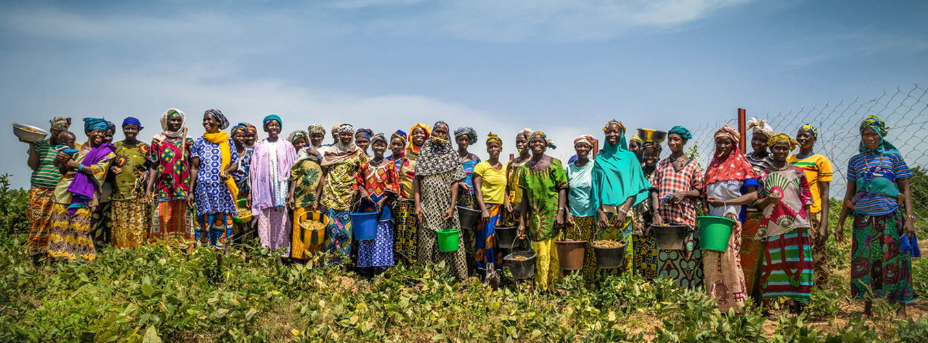 A line of African farmers smiling