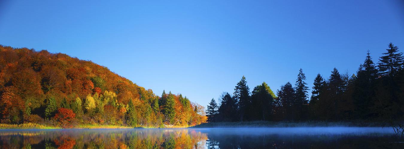 Lake in Park in Croatia