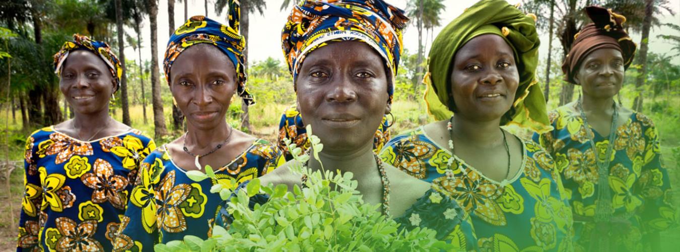 Сельские женщины в Гвинее.