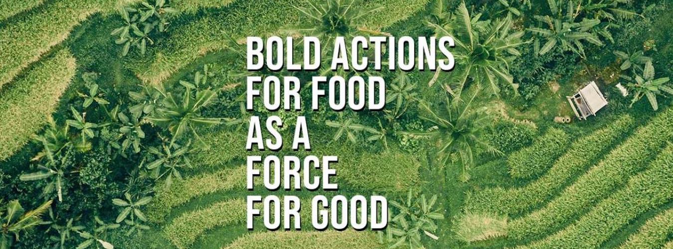 Event photo - Bold Actions for Food as a Force for Good