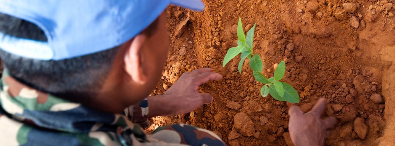 Un casco azul planta un árbol en el exterior de la sede de la Misión de la ONU en Sudán, en la localidad de El Fasher. 