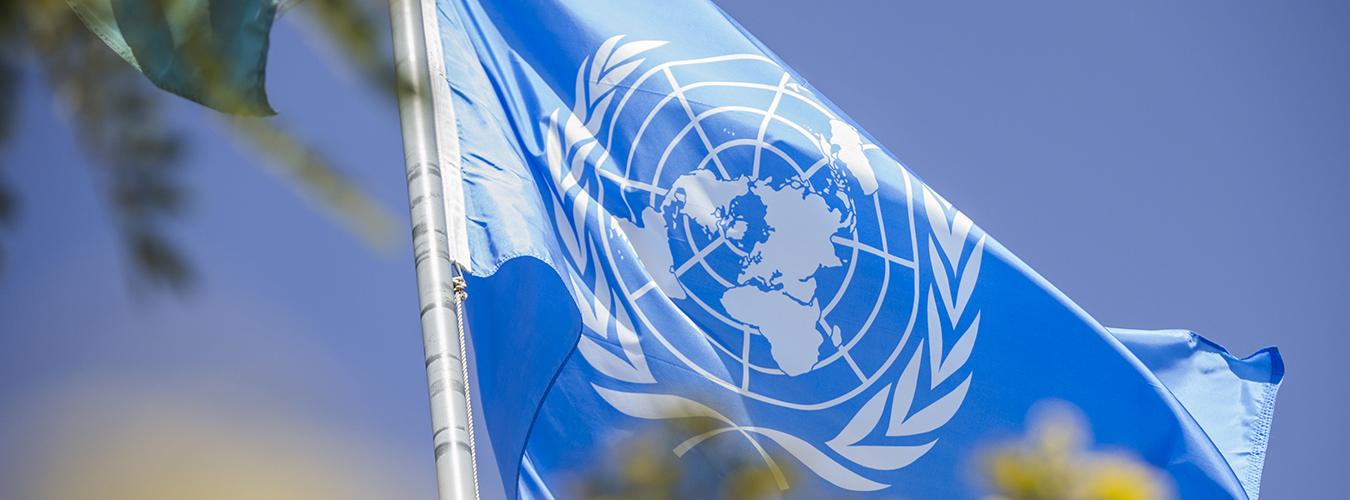 Bandera de la ONU ondea al viento
