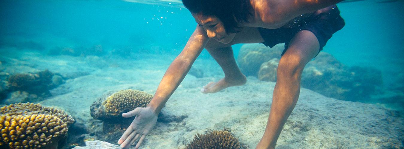 Kalio, 9 ans, nage sous l'eau près d'une coquille de palourde géante.