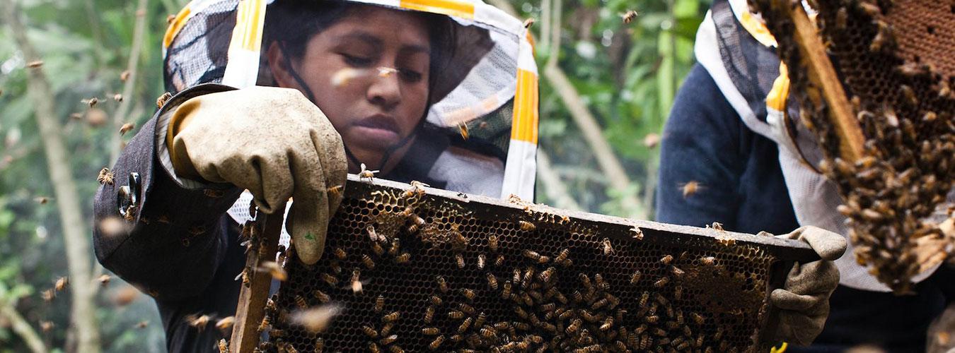 Manuela is a 21-year-old beekeeper is the owner of 12 hives in Guatemala.