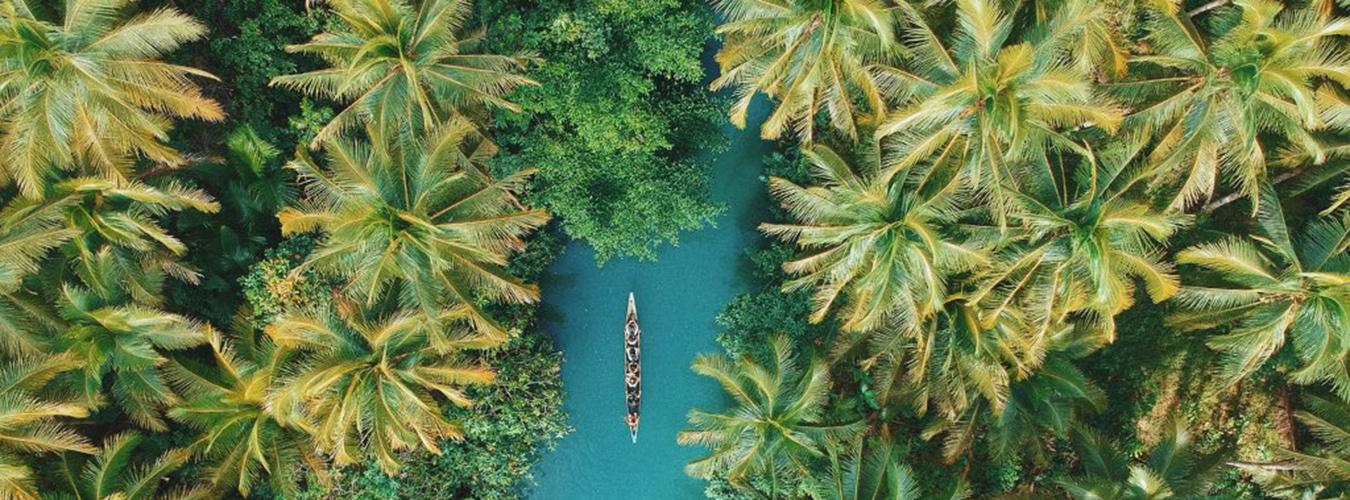 Vue aérienne d'une forêt tropicale avec un canoë sur une rivière.