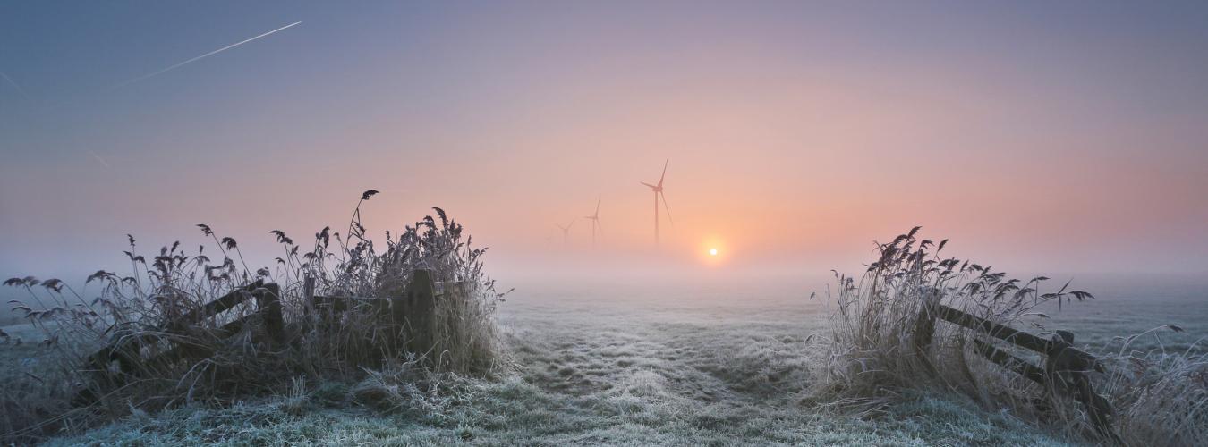 Un matin brumeux à Pingjum (Fryslân), aux Pays-Bas. 