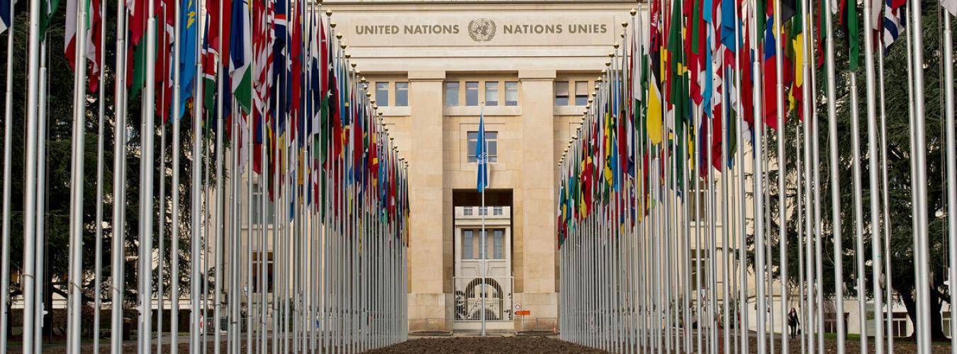 The Palais des Nations in Geneva, with the flags of Member States flying.