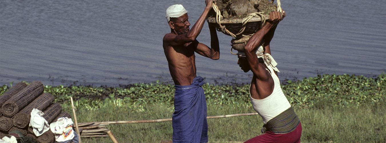 两名孟加拉工人在挖掘过程中搬运草丛。