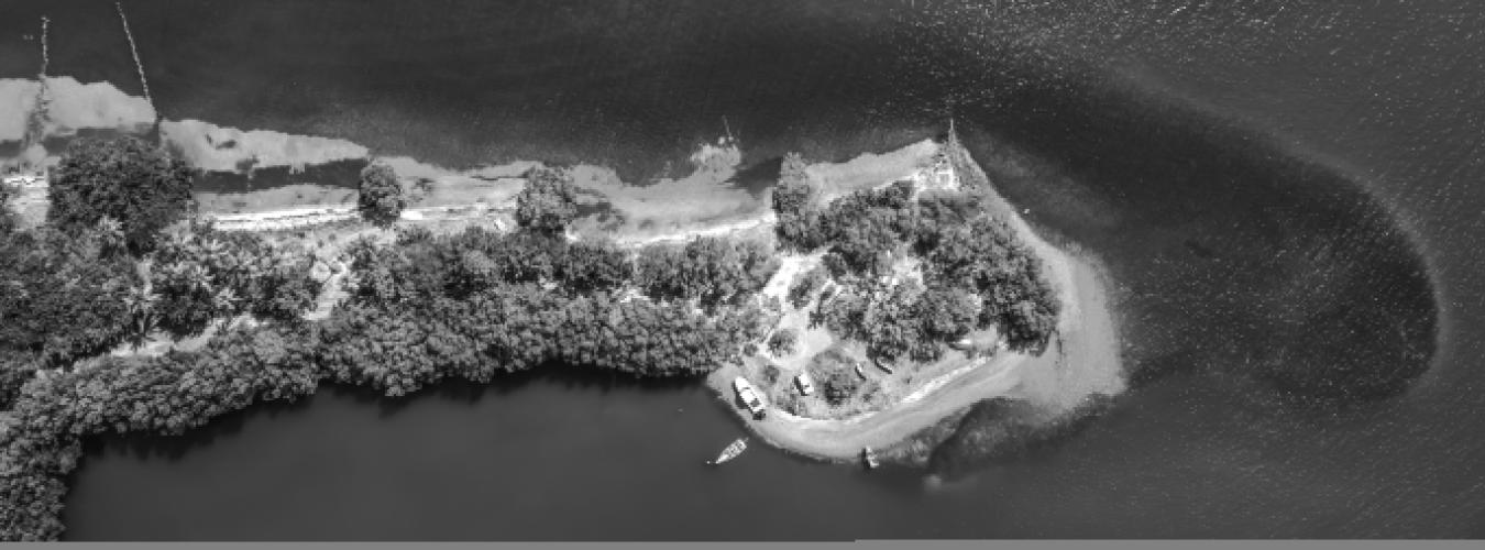 Aerial view of green island with boats
