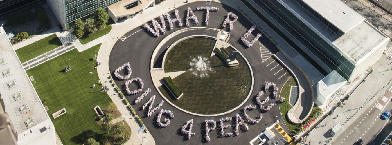 纪念联合国成立70周年：你在为和平做些什么？