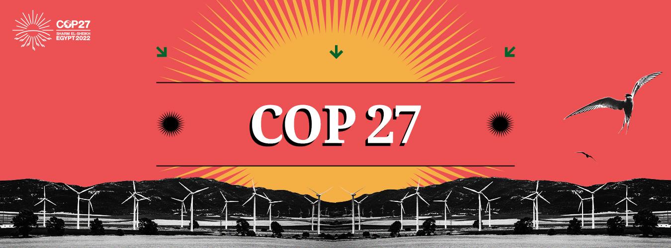 Poster para la COP27
