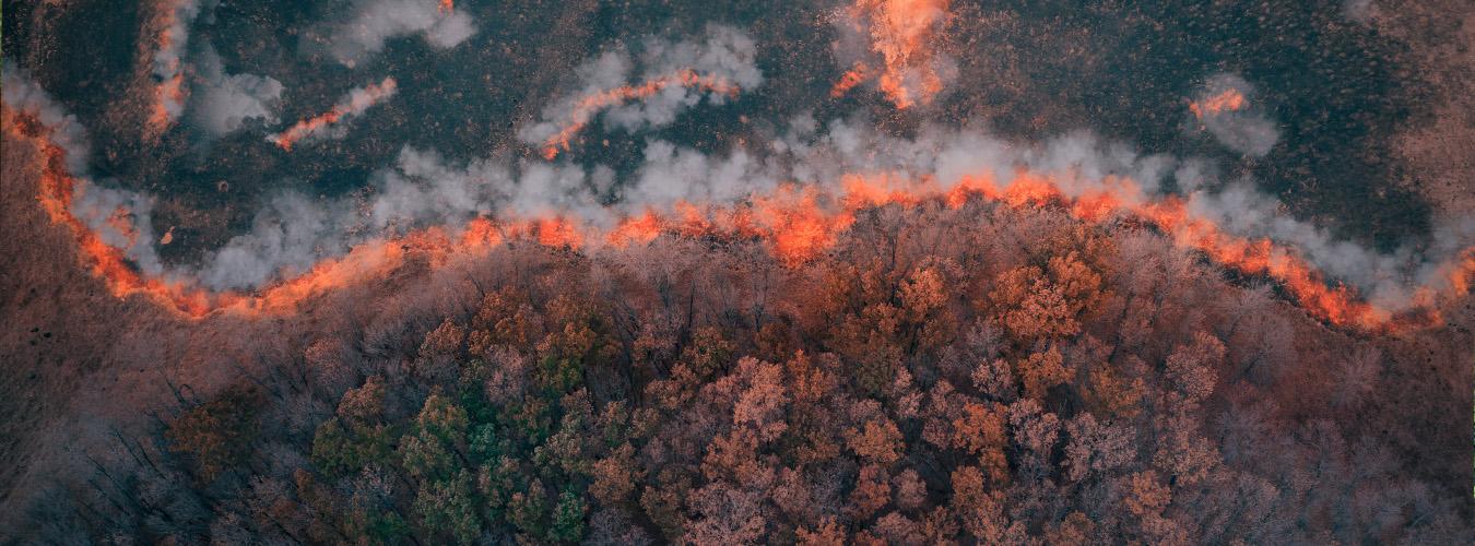 Aerial view of forest on fire