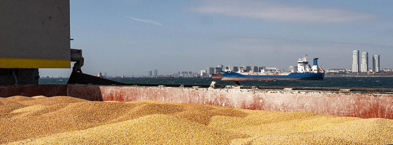 Grain on a ship