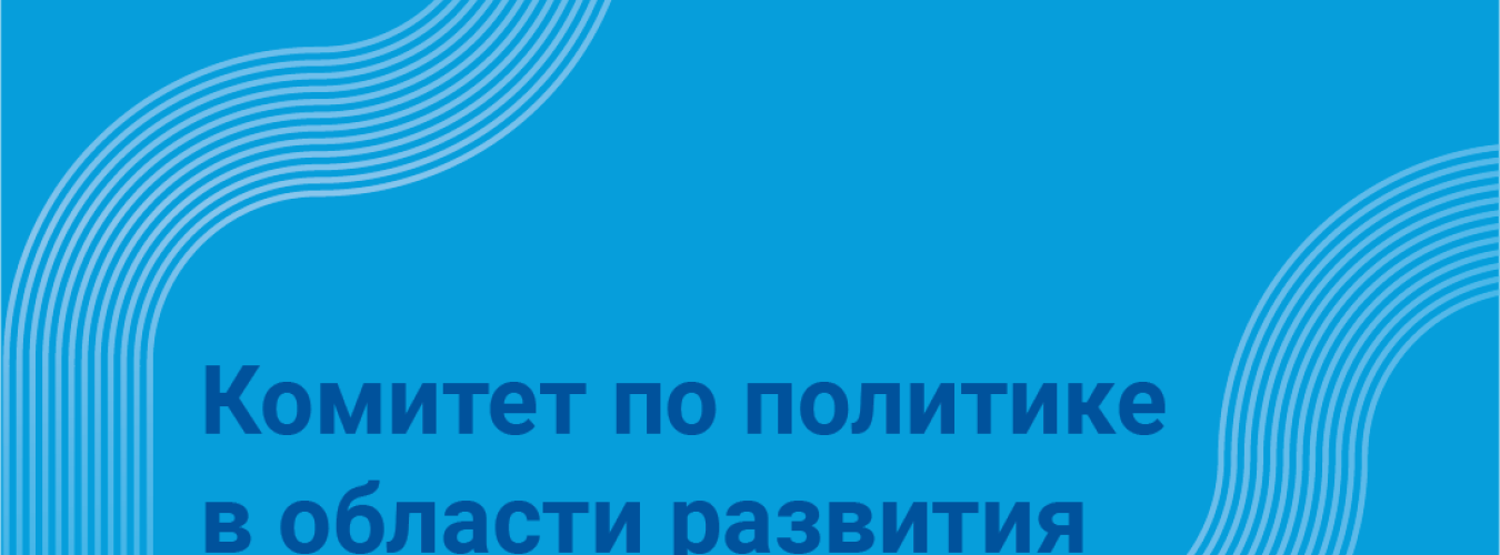 Комитет по политике в области развития