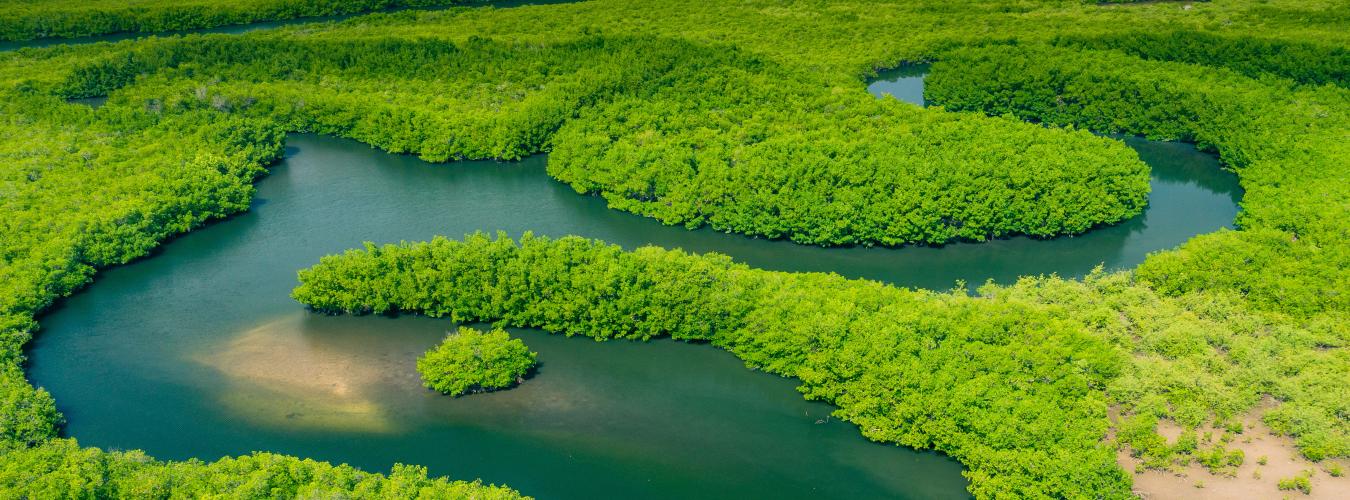 Vue aérienne d'une partie de la forêt amazonienne, traversée par un fleuve, au Brésil, en Amérique du Sud.
