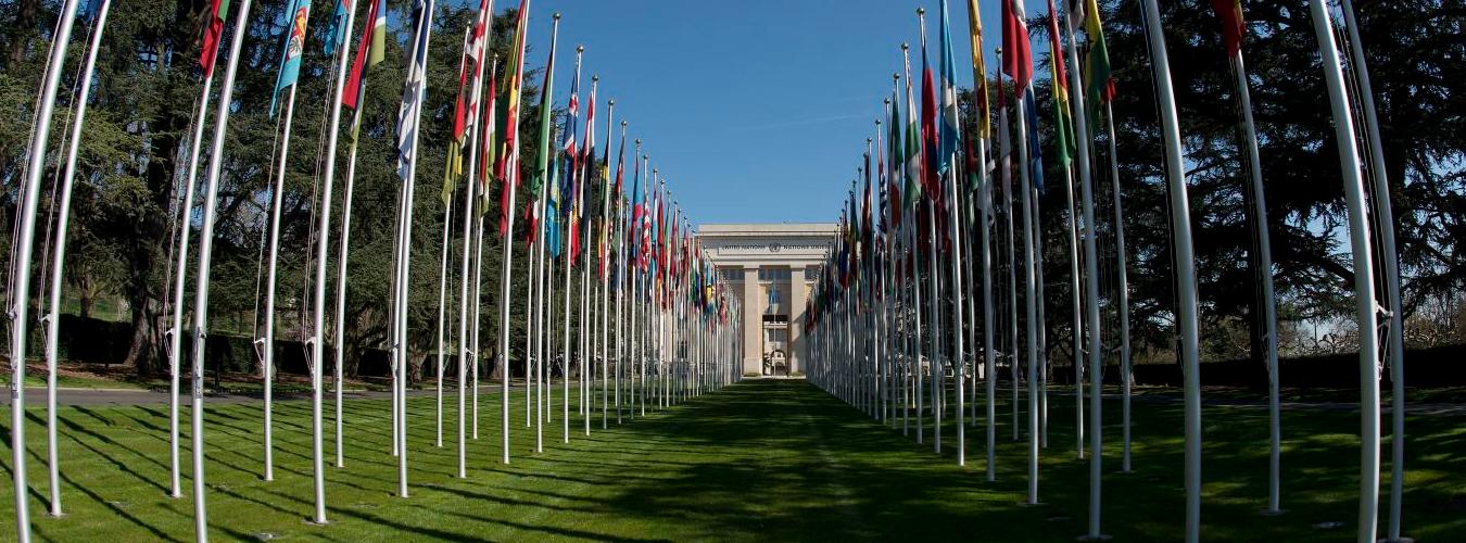 L'entrée de l'Office des Nations Unies à Genève, flanquée des drapeaux des membres de l'ONU.