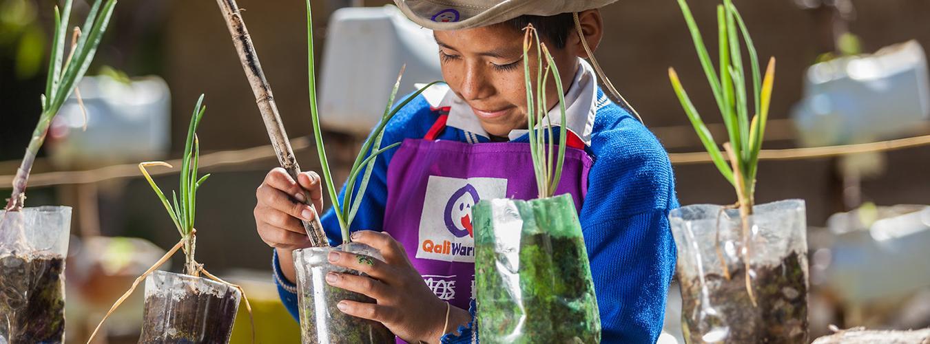 Un jeune garçon place une plante dans une bouteille en plastique remplie de terre.