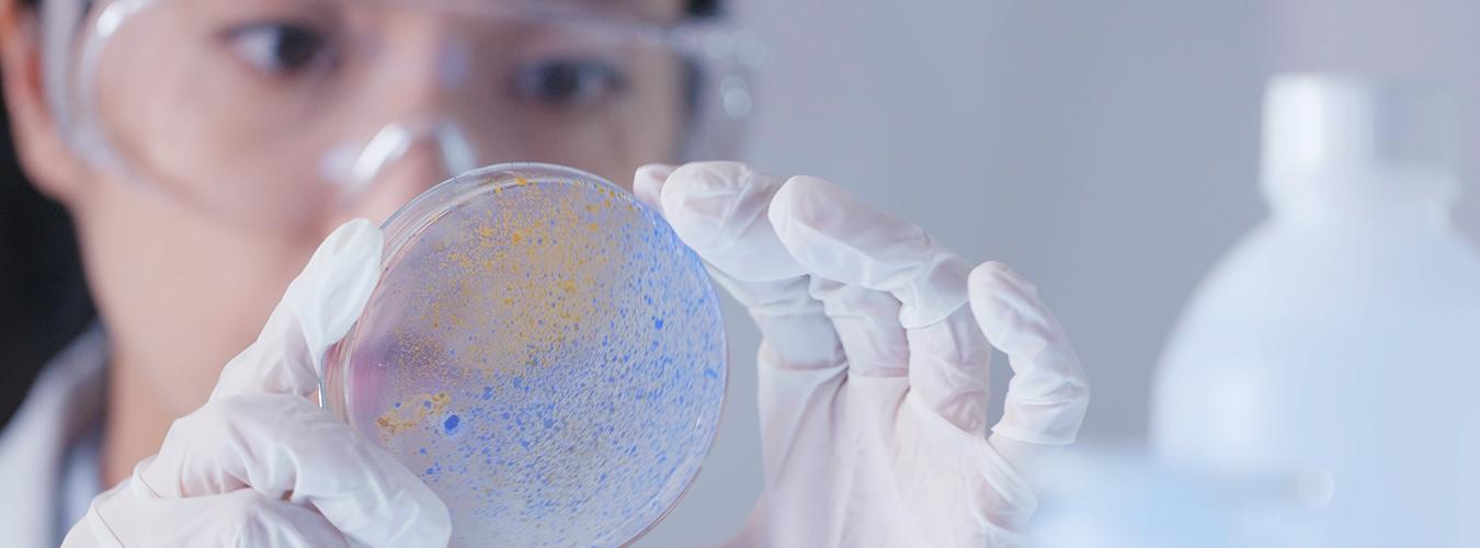 Γυναίκα επιστήμονας που εξετάζει ένα πιάτο Petri