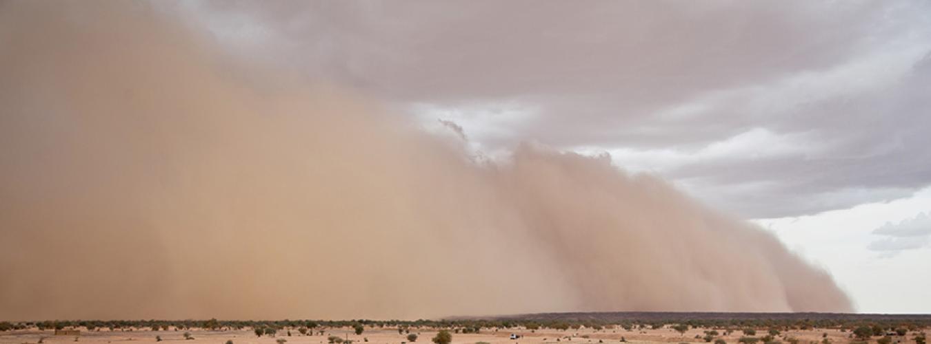 sandstorm with overbearing clouds billows over an orange-colored land that is slightly peppered with trees