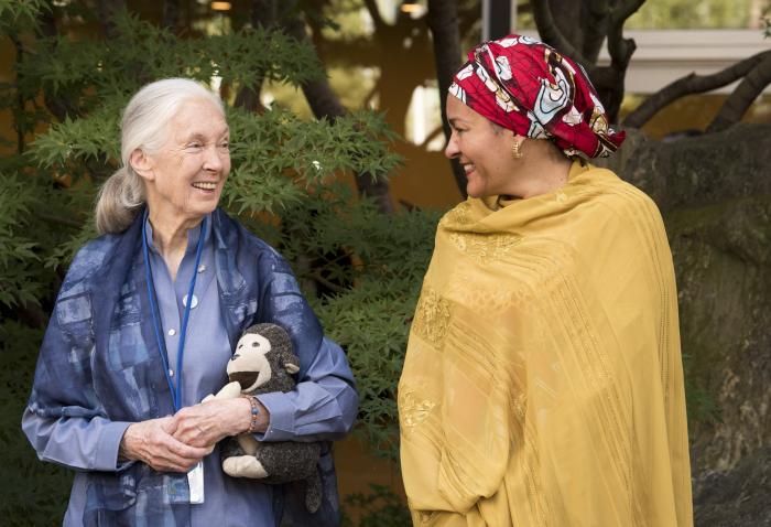 UN Messenger of Peace Jane Goodall with Deputy Secretary-General Amina Mohammed during the annual Peace Bell Ceremony held at United Nations headquarters in observance of the International Day of Peace (21 September). 15 Sep 2017/UN Photo/Kim Haughton