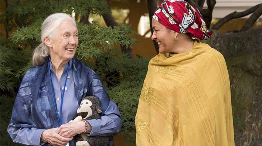 UN Messenger of Peace Jane Goodall with Deputy Secretary-General Amina Mohammed during the annual Peace Bell Ceremony held at United Nations headquarters in observance of the International Day of Peace (21 September). 15 Sep 2017/UN Photo/Kim Haughton