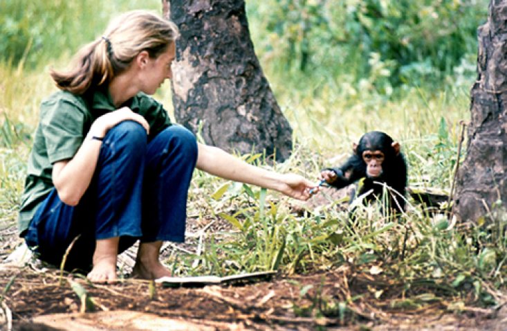 Jane Goodall