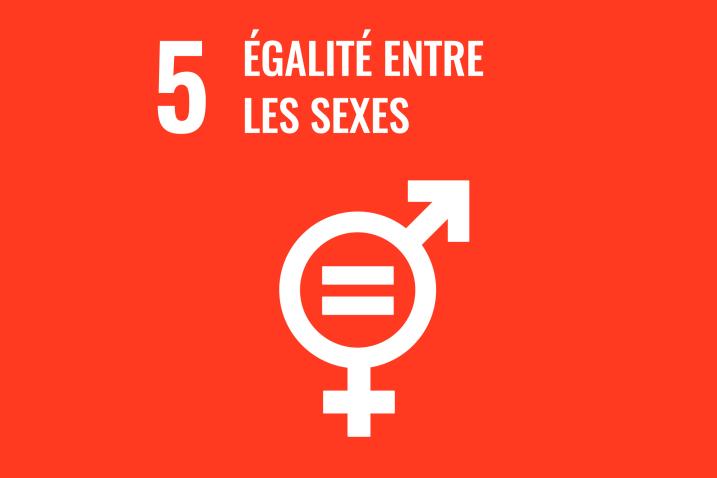 Logo de l'objectif 5 - Égalité des sexes